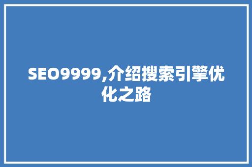 SEO9999,介绍搜索引擎优化之路