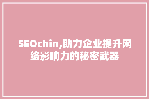 SEOchin,助力企业提升网络影响力的秘密武器