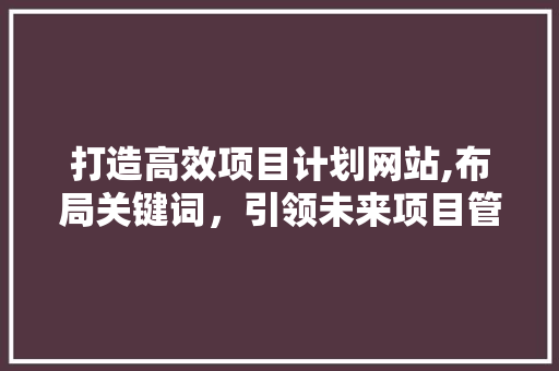 打造高效项目计划网站,布局关键词，引领未来项目管理新潮流