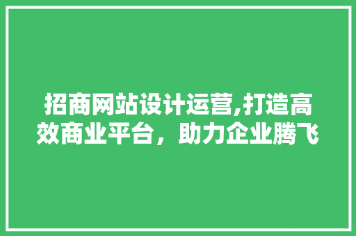 招商网站设计运营,打造高效商业平台，助力企业腾飞