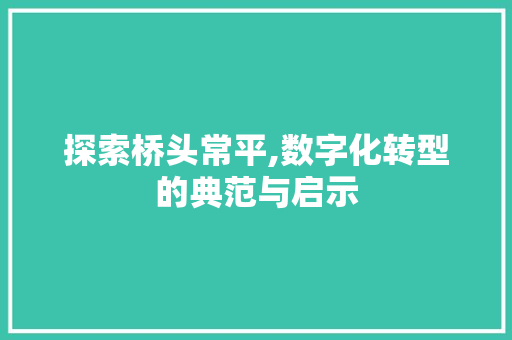 探索桥头常平,数字化转型的典范与启示