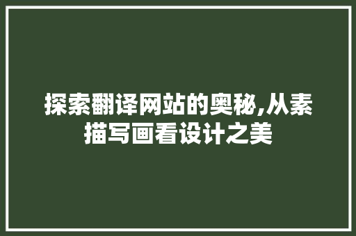 探索翻译网站的奥秘,从素描写画看设计之美
