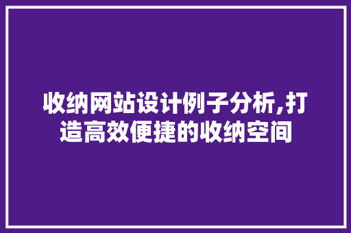 收纳网站设计例子分析,打造高效便捷的收纳空间