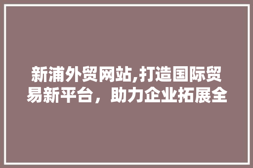 新浦外贸网站,打造国际贸易新平台，助力企业拓展全球市场