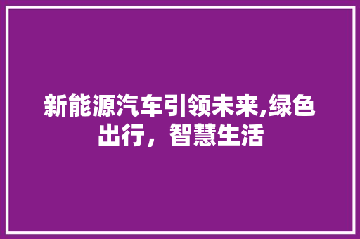 新能源汽车引领未来,绿色出行，智慧生活