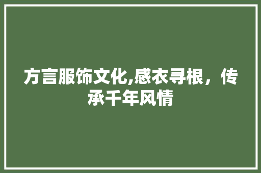 方言服饰文化,感衣寻根，传承千年风情