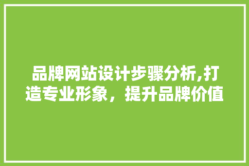 品牌网站设计步骤分析,打造专业形象，提升品牌价值