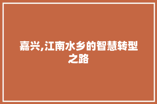 嘉兴,江南水乡的智慧转型之路