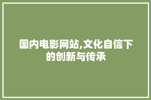 国内电影网站,文化自信下的创新与传承