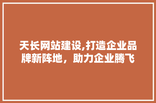 天长网站建设,打造企业品牌新阵地，助力企业腾飞