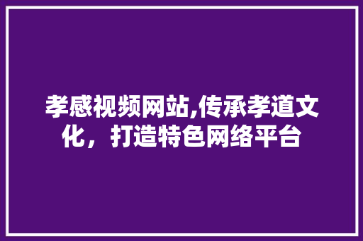 孝感视频网站,传承孝道文化，打造特色网络平台