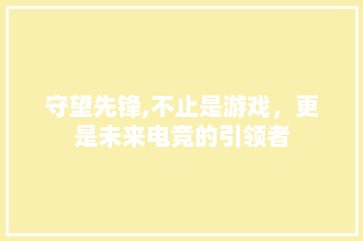 守望先锋,不止是游戏，更是未来电竞的引领者