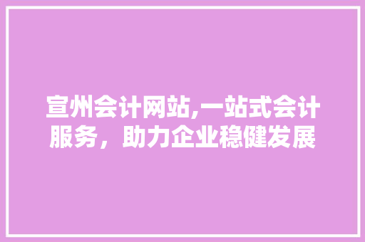 宣州会计网站,一站式会计服务，助力企业稳健发展