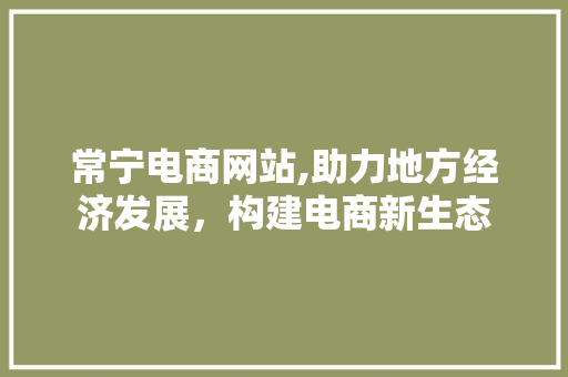 常宁电商网站,助力地方经济发展，构建电商新生态
