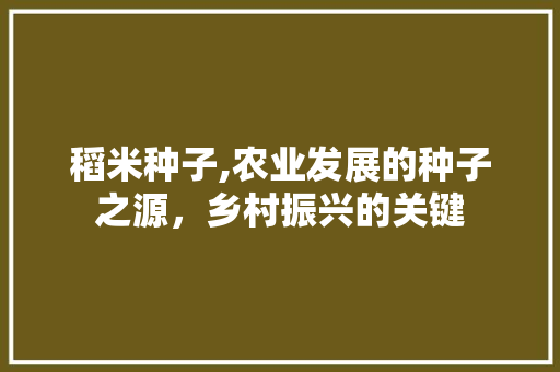 稻米种子,农业发展的种子之源，乡村振兴的关键