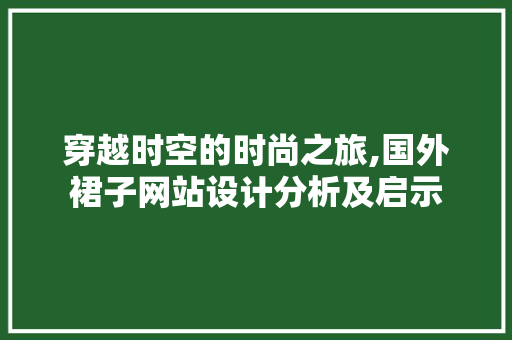 穿越时空的时尚之旅,国外裙子网站设计分析及启示