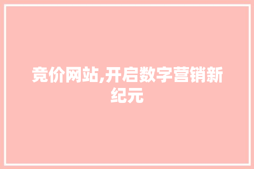竞价网站,开启数字营销新纪元