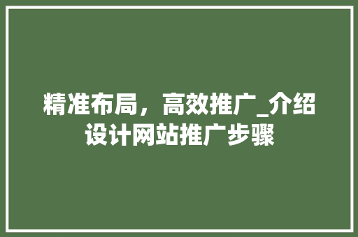 精准布局，高效推广_介绍设计网站推广步骤