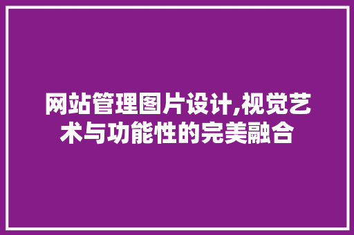 网站管理图片设计,视觉艺术与功能性的完美融合