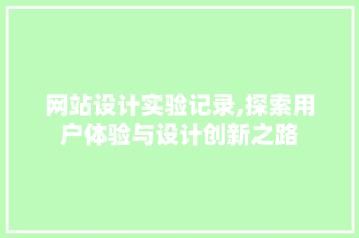网站设计实验记录,探索用户体验与设计创新之路