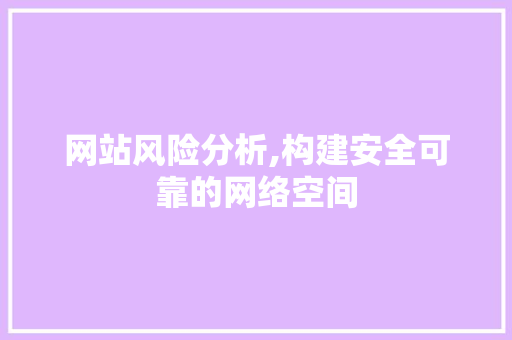 网站风险分析,构建安全可靠的网络空间