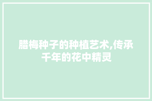 腊梅种子的种植艺术,传承千年的花中精灵