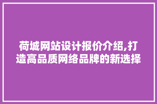 荷城网站设计报价介绍,打造高品质网络品牌的新选择