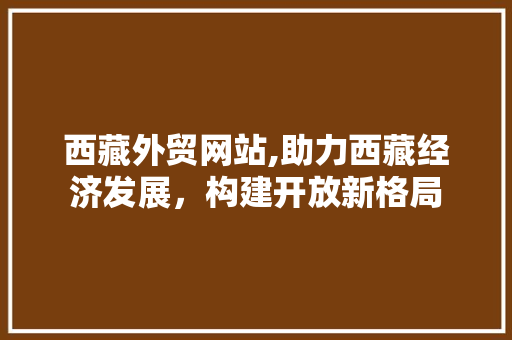西藏外贸网站,助力西藏经济发展，构建开放新格局