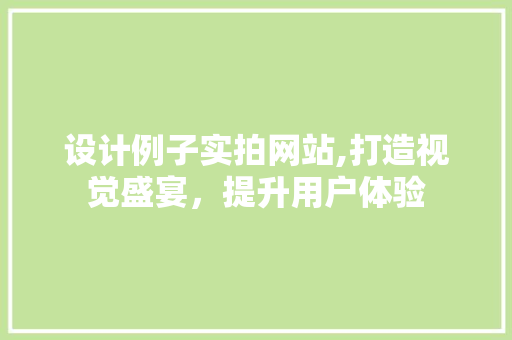 设计例子实拍网站,打造视觉盛宴，提升用户体验
