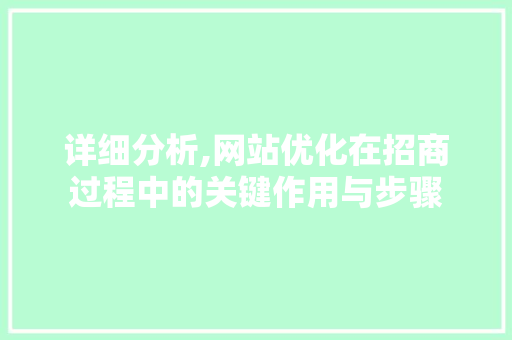 详细分析,网站优化在招商过程中的关键作用与步骤
