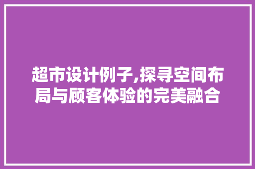 超市设计例子,探寻空间布局与顾客体验的完美融合