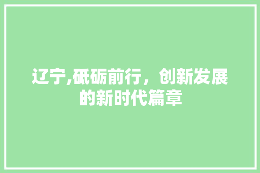 辽宁,砥砺前行，创新发展的新时代篇章