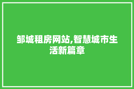 邹城租房网站,智慧城市生活新篇章