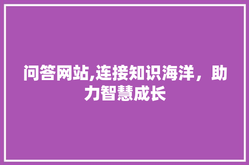 问答网站,连接知识海洋，助力智慧成长