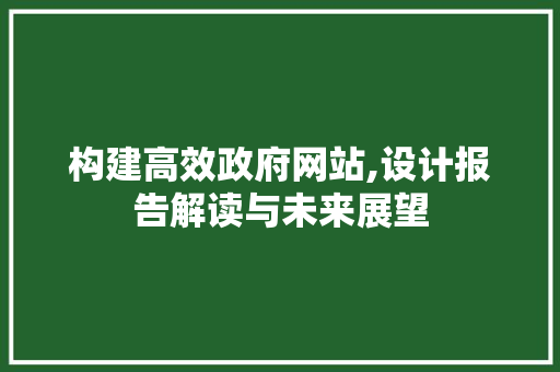 构建高效政府网站,设计报告解读与未来展望