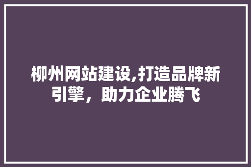 柳州网站建设,打造品牌新引擎，助力企业腾飞