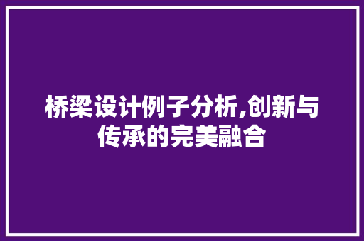 桥梁设计例子分析,创新与传承的完美融合