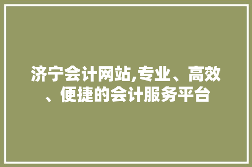 济宁会计网站,专业、高效、便捷的会计服务平台