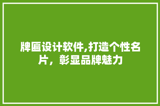 牌匾设计软件,打造个性名片，彰显品牌魅力
