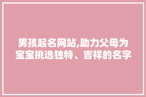 男孩起名网站,助力父母为宝宝挑选独特、吉祥的名字