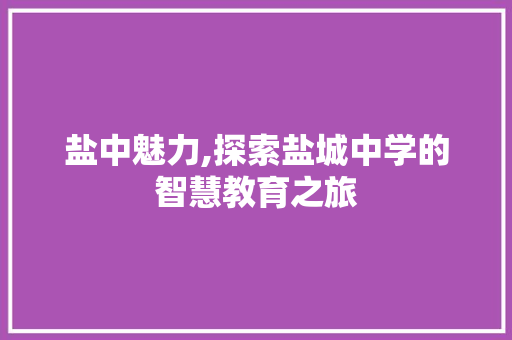 盐中魅力,探索盐城中学的智慧教育之旅