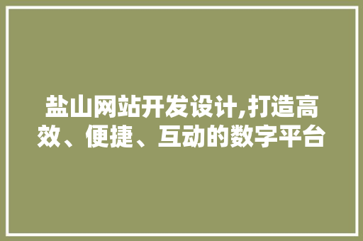 盐山网站开发设计,打造高效、便捷、互动的数字平台