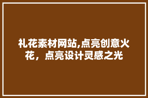 礼花素材网站,点亮创意火花，点亮设计灵感之光