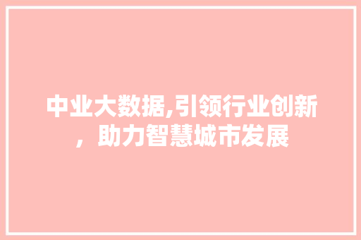 中业大数据,引领行业创新，助力智慧城市发展