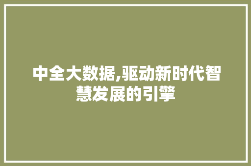 中全大数据,驱动新时代智慧发展的引擎