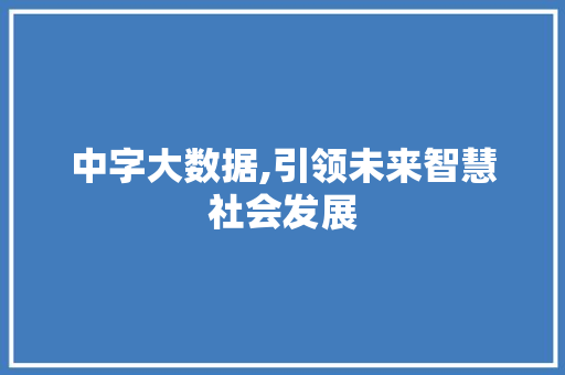 中字大数据,引领未来智慧社会发展