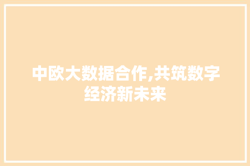 中欧大数据合作,共筑数字经济新未来