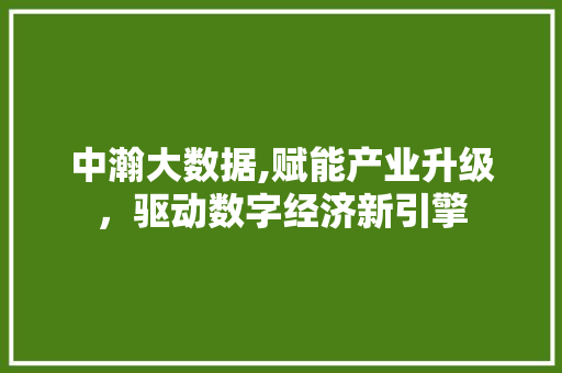 中瀚大数据,赋能产业升级，驱动数字经济新引擎