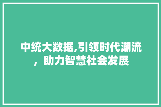 中统大数据,引领时代潮流，助力智慧社会发展
