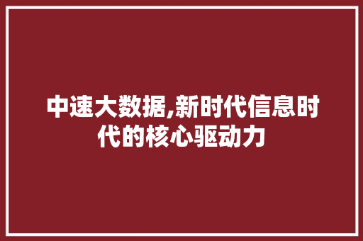 中速大数据,新时代信息时代的核心驱动力